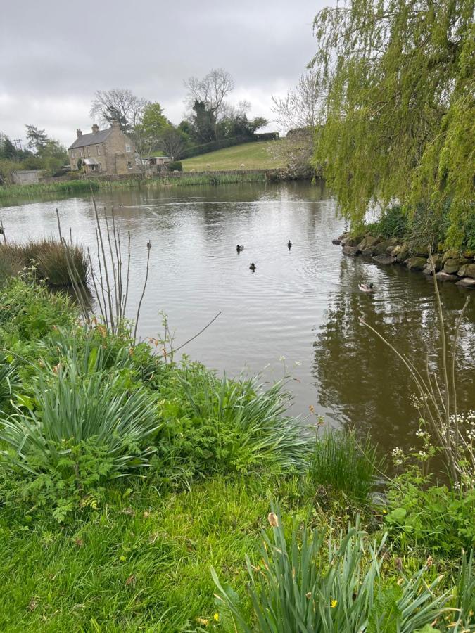 Woodside Cottage Grewelthorpe Nr Masham Ripon Esterno foto